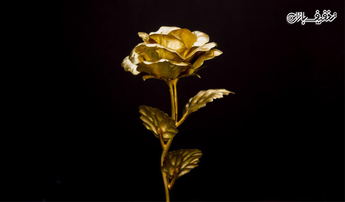 شاخه گل رز طلا کادویی با قاب پلکسی