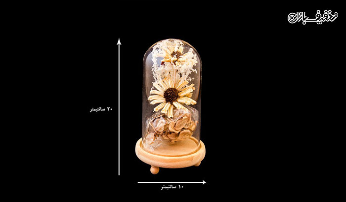 گلدان دکوری گل خشک با حفاظ شیشه ای و پایه ی چوبی