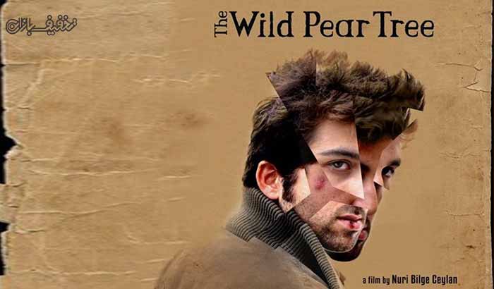 اکران فیلم درخت گلابی وحشی (The Wild Pear Tree) در سینما غزل 