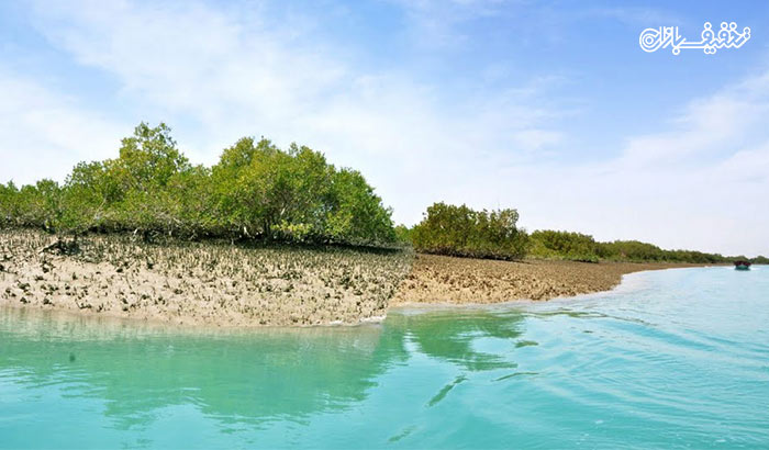 تور یک روزه بندر سیراف و شنای خلیج زیبای نایبند