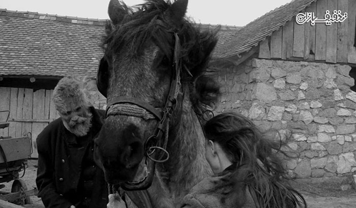 نمایش فیلم سیاه و سفید اسب تورین The Turin Horse اکران سینما غزل